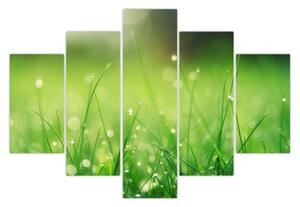 Slika - rosa na travi (150x105 cm)