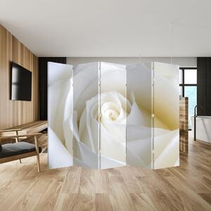 Paravan - Bijela ruža (210x170 cm)