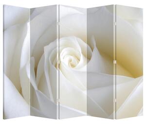 Paravan - Bijela ruža (210x170 cm)