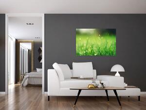 Slika - rosa na travi (90x60 cm)