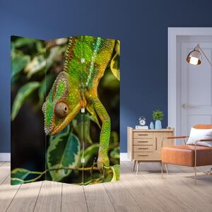 Paravan - Kameleon (126x170 cm)