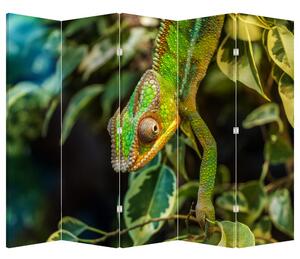 Paravan - Kameleon (210x170 cm)