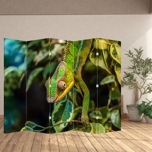 Paravan - Kameleon (210x170 cm)