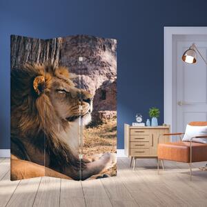 Paravan - Ležeći lav (126x170 cm)