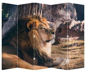 Paravan - Ležeći lav (210x170 cm)