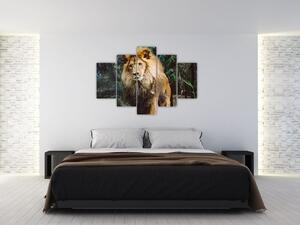 Slika lava u prirodi (150x105 cm)