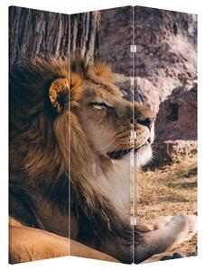 Paravan - Ležeći lav (126x170 cm)