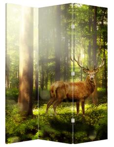 Paravan - Jelen u šumi (126x170 cm)