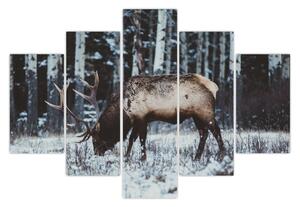 Slika - jelen zimi (150x105 cm)