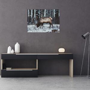 Slika - jelen zimi (70x50 cm)