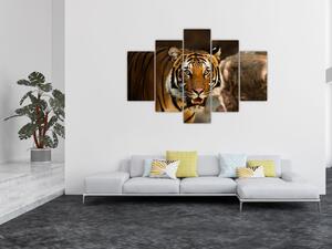Slika tigra (150x105 cm)