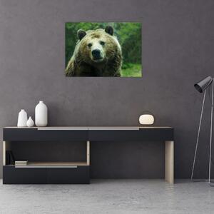 Slika medvjeda (70x50 cm)