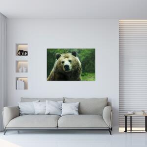 Slika medvjeda (90x60 cm)