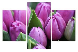 Slika - cvijeće tulipana (90x60 cm)