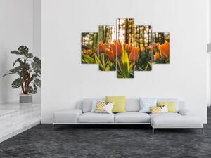 Slika - cvijeće tulipana (150x105 cm)