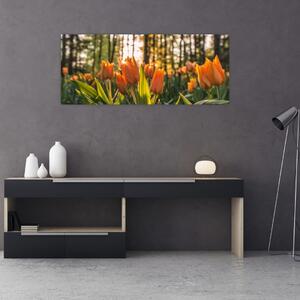 Slika - cvijeće tulipana (120x50 cm)