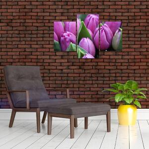 Slika - cvijeće tulipana (90x60 cm)