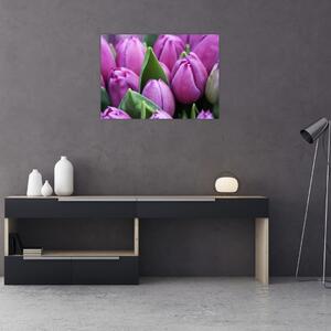 Slika - cvijeće tulipana (70x50 cm)