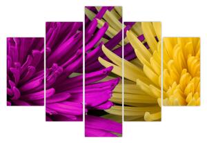 Slika - detalj cvijetova (150x105 cm)