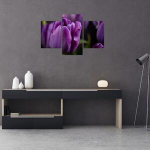 Slika cvjetova tulipana (90x60 cm)