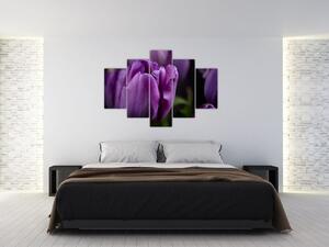Slika cvjetova tulipana (150x105 cm)