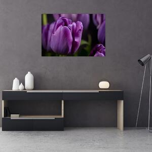 Slika cvjetova tulipana (90x60 cm)