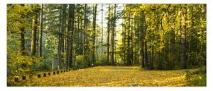 Slika - šuma u jesen (120x50 cm)
