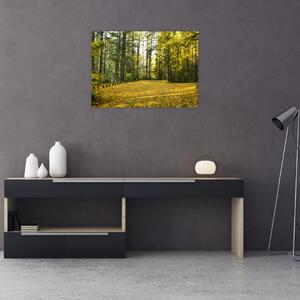 Slika - šuma u jesen (70x50 cm)