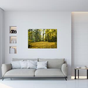 Slika - šuma u jesen (90x60 cm)