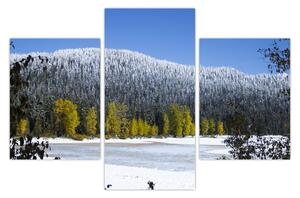 Slika - snježno gorje zimi (90x60 cm)