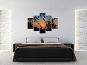 Slika zalaska sunca (150x105 cm)
