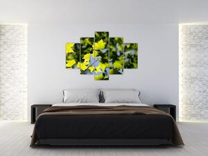 Slika - javorovo lišće (150x105 cm)