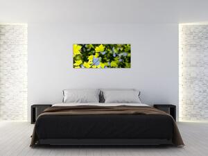 Slika - javorovo lišće (120x50 cm)