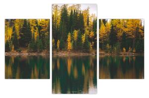 Slika šumskog jezera (90x60 cm)