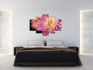 Slika cvijeta izbliza (150x105 cm)
