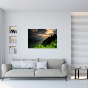 Slika - zeleni planinski krajolik (90x60 cm)