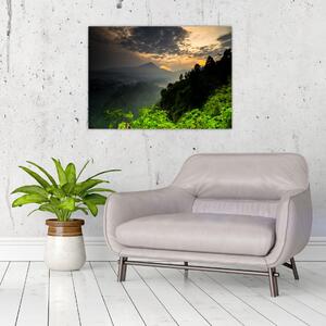 Slika - zeleni planinski krajolik (70x50 cm)