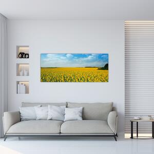 Slika - polje suncokreta (120x50 cm)