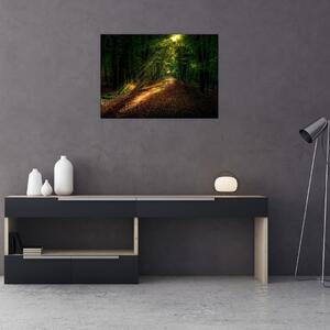 Slika šumskog puta (70x50 cm)
