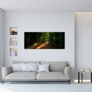 Slika šumskog puta (120x50 cm)