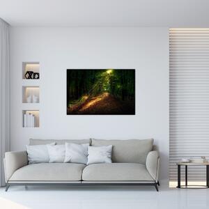 Slika šumskog puta (90x60 cm)