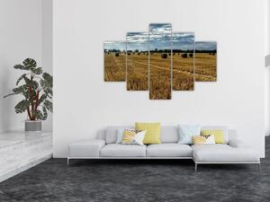 Slika ubranog polja žitarica (150x105 cm)