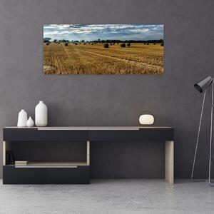Slika ubranog polja žitarica (120x50 cm)