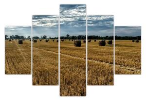 Slika ubranog polja žitarica (150x105 cm)