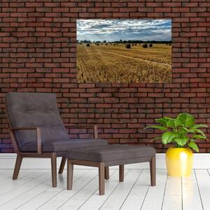 Slika ubranog polja žitarica (90x60 cm)