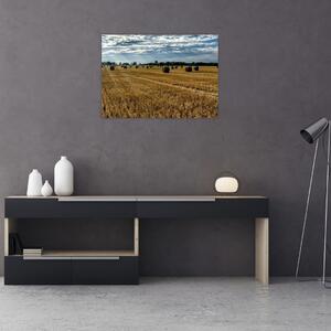 Slika ubranog polja žitarica (70x50 cm)