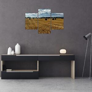 Slika ubranog polja žitarica (90x60 cm)