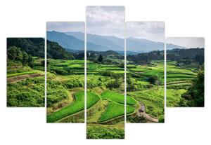 Slika rižinih polja (150x105 cm)