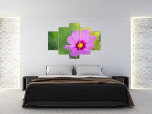 Slika - livadski cvijet (150x105 cm)