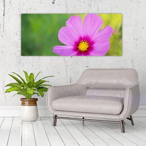 Slika - livadski cvijet (120x50 cm)
